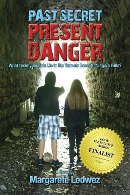 Past Secret Present Danger By Ledwez 9781943492312 (Paperback)