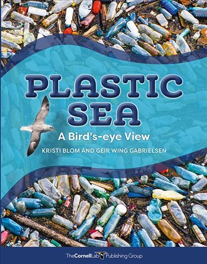Plastic Sea By Kirsti Blom, Geir Wing Gabrielson 9781943645503