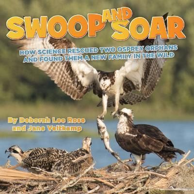 Swoop and Soar By Deborah Lee Rose, Jane Veltkamp 9781943978663