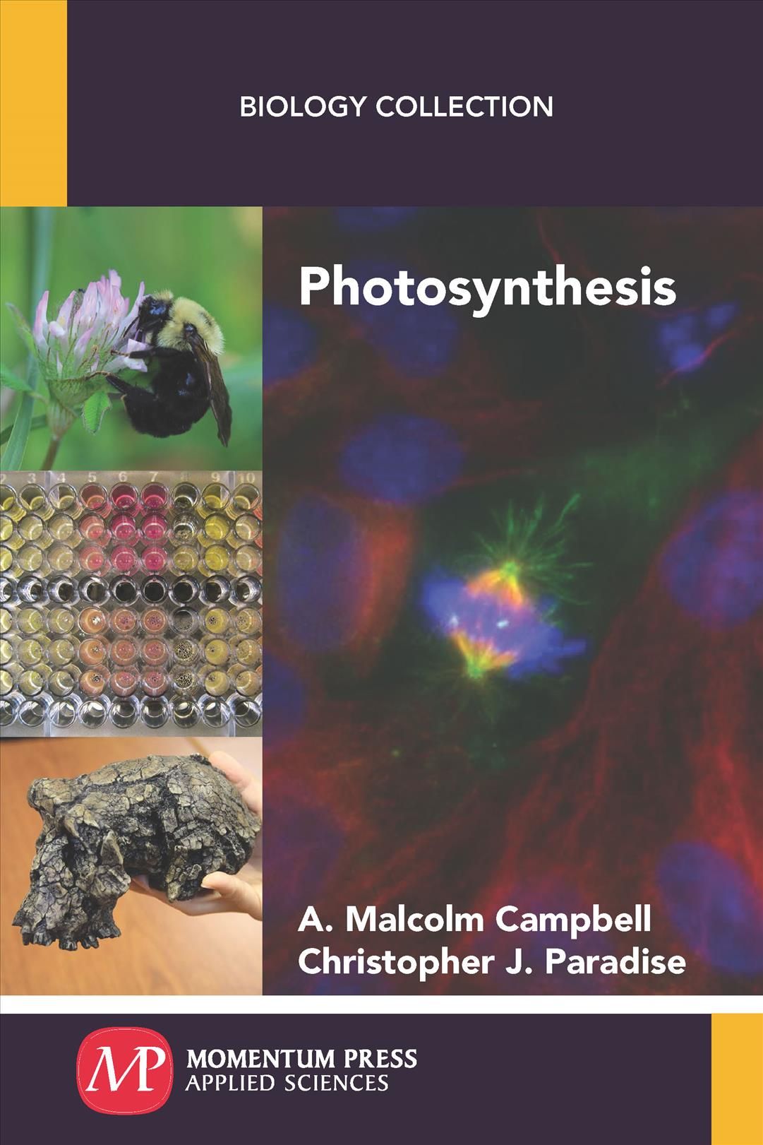Photosynthesis By A. Malcolm Campbell, Christopher J. Paradise