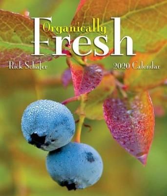 2020 Organically Fresh Mini Wall Calendar 9781944857837 (Calendar)