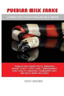 Pueblan Milk Snake By Lolly Brown 9781946286352 (Paperback)