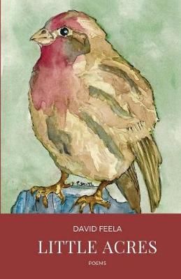 Little Acres By David Feela 9781947021877 (Paperback)