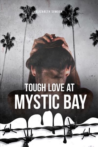 Tough Love at Mystic Bay 9781947041530 (Paperback)