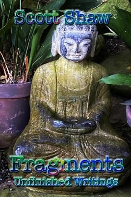 Fragments By Scott Shaw 9781949251289 (Paperback)