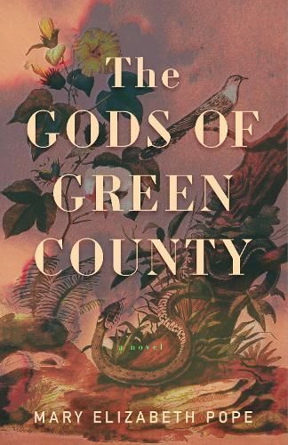 The Gods of Green County By Mary Elizabeth Pope 9781949467710