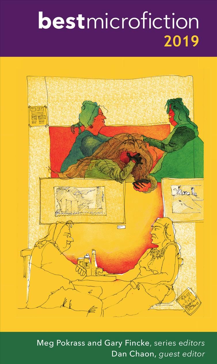 Best Microfiction 2019 By Pokrass, Meg 9781949790061 (Paperback)