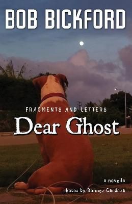 Dear Ghost By Cardoza 9781950292066 (Paperback)