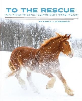 To the Rescue By Sarah J Dufendach 9781950811045 (Paperback)