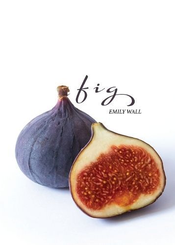 Fig By Wall 9781950811199 (Paperback)