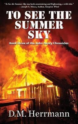 To See the Summer Sky By Herrmann 9781951375591 (Hardback)