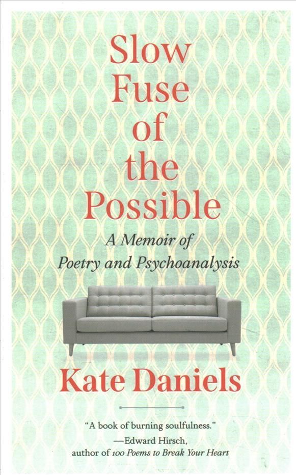 Slow Fuse of the Possible By Kate Daniels 9781952271380 (Paperback)