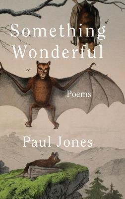 Something Wonderful By Paul Jones 9781952485466 (Hardback)