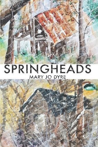 Springheads By Mary Jo Dyre 9781952485916 (Paperback)