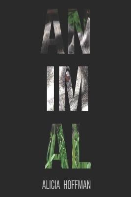Animal By Alicia Hoffman (author), Diane Kistner (editor) (Paperback)
