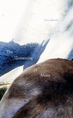 The Unnaming of Aliass By Karin Bolender 9781953035127 (Paperback)