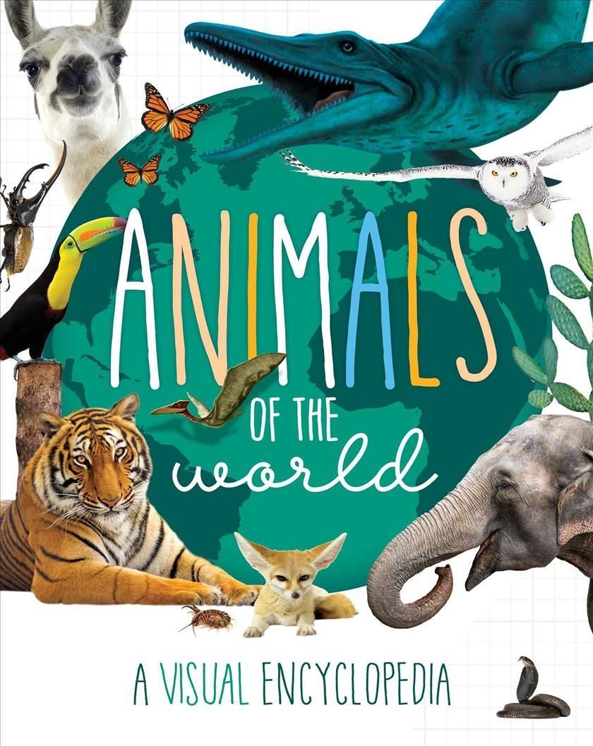 Animals of the World By Little Genius Books 9781953344557 (Hardback)