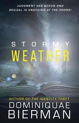 Stormy Weather By Bierman 9781953502452 (Paperback)