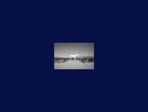 Prophetic Kingdom By Martin Buday (photographer) 9781954119055