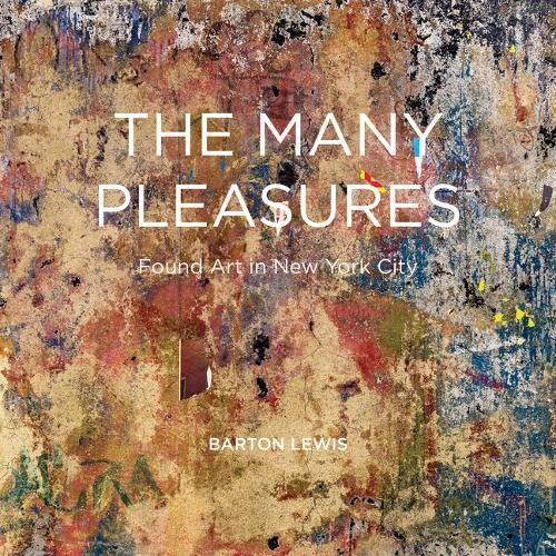 The Many Pleasures By Barton Lewis 9781954119406 (Hardback)