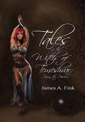 Tales of the Witch of Temeshvar By Fink 9781954368330 (Hardback)