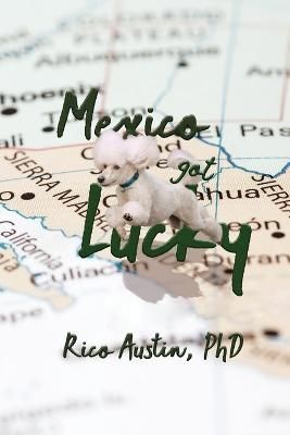 Mexico Got Lucky: Updated Edition By Austin, Rico 9781954819399