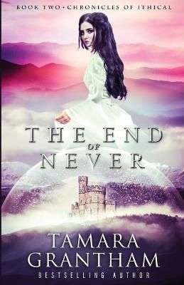 The End of Never By Tamara Grantham 9781954871724 (Paperback)