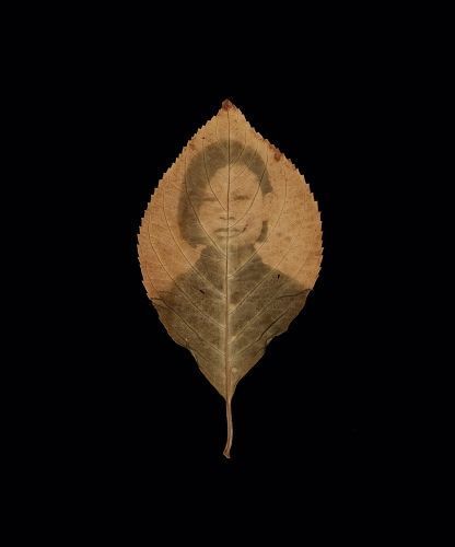 Binh Danh: The Enigma of Belonging 9781955161039 (Hardback)