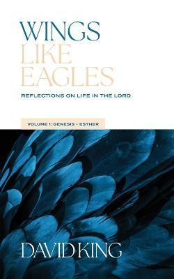 Wings Like Eagles Vol 1 By King 9781955285483 (Paperback)