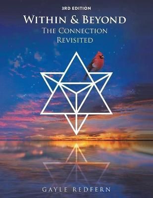 Within and Beyond By Webb 9781955575157 (Paperback)