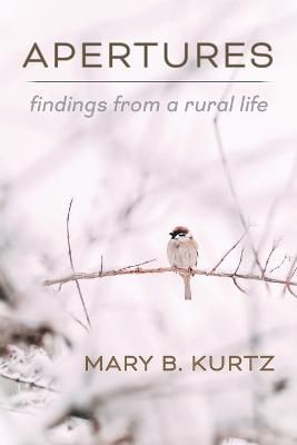 Apertures By Kurtz 9781956056563 (Paperback)