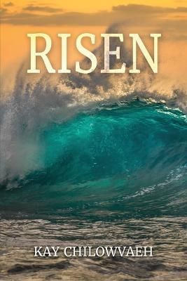 Risen By Chilowvaeh 9781959453000 (Paperback)
