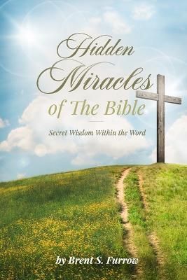 Hidden Miracles of the Bible By Brent S Furrow 9781959677086