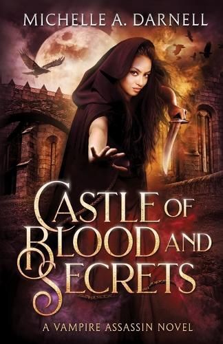 Castle of Blood and Secrets By Michelle A Darnell 9781962809016