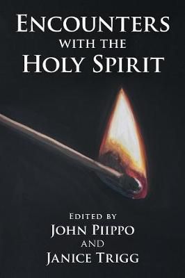 Encounters with the Holy Spirit By Piippo 9781973663980 (Paperback)