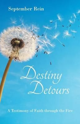 Destiny Detours By Rein 9781973675501 (Paperback)