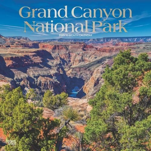 Grand Canyon National Park 2025 12 X 24 Inch Monthly Square Wall Calendar Foil Stamped Cover Plastic-Free Browntrout USA United States of ...