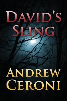 David's Sling By Ceroni 9781977253330 (Paperback)
