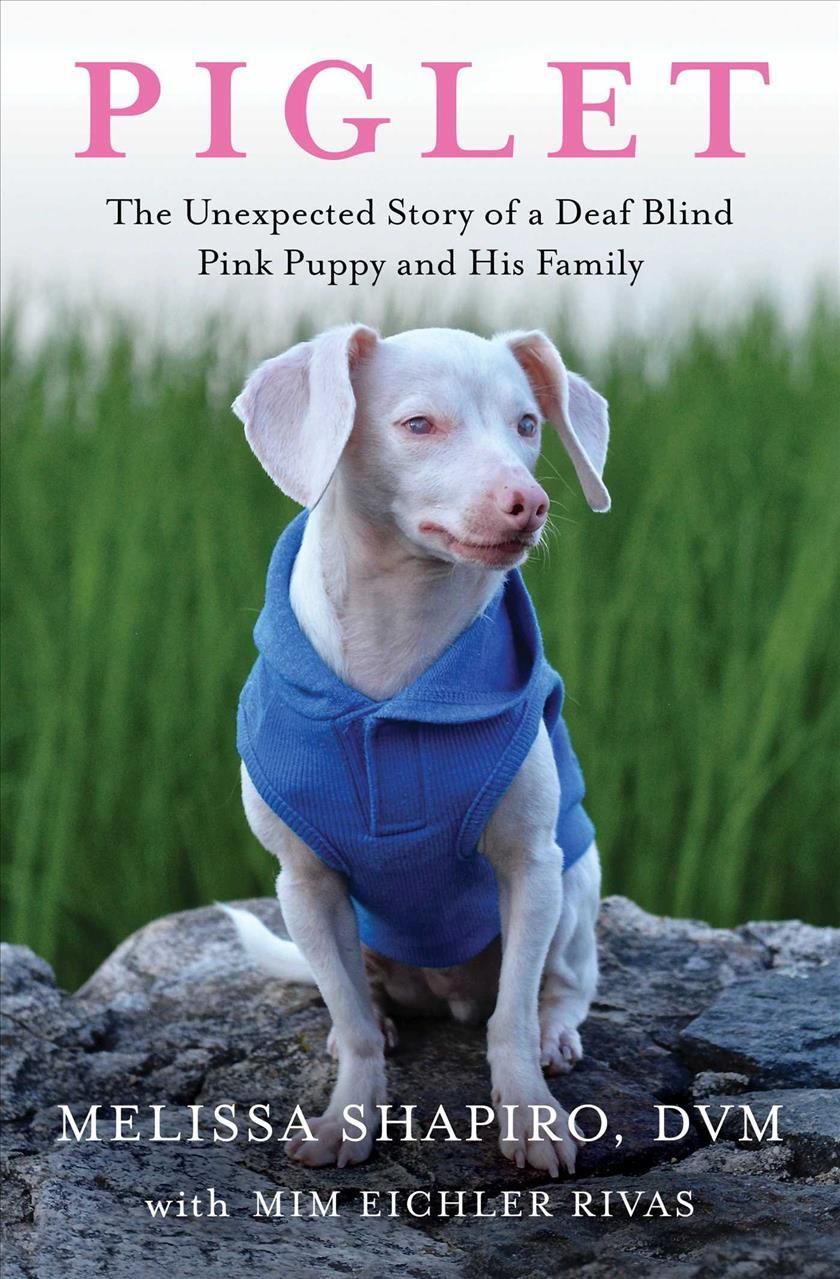 Piglet By Melissa Shapiro, Mim Eichler Rivas 9781982167189 (Paperback)