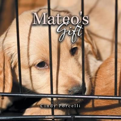 Mateo's Gift By Porcelli 9781984570932 (Paperback)