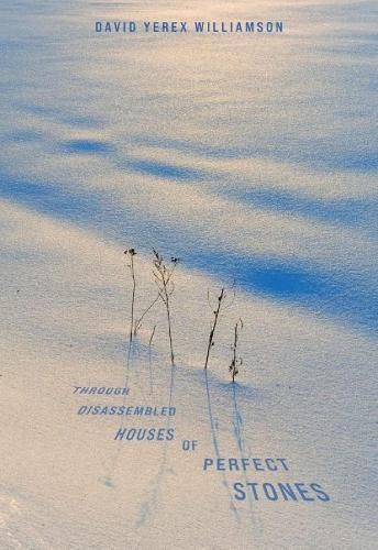Through Disassembled Houses of Perfect Stones 9781988168609