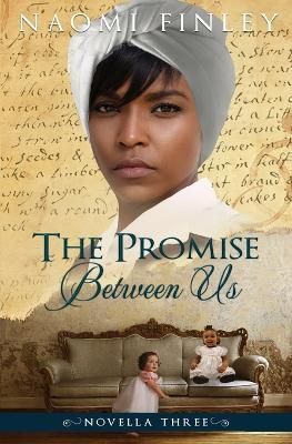 Promise Between Us By Finley 9781989165126 (Paperback)