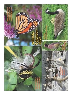 Wildlife Calendar 2021 By Barbara a Fanson 9781989361207 (Paperback)