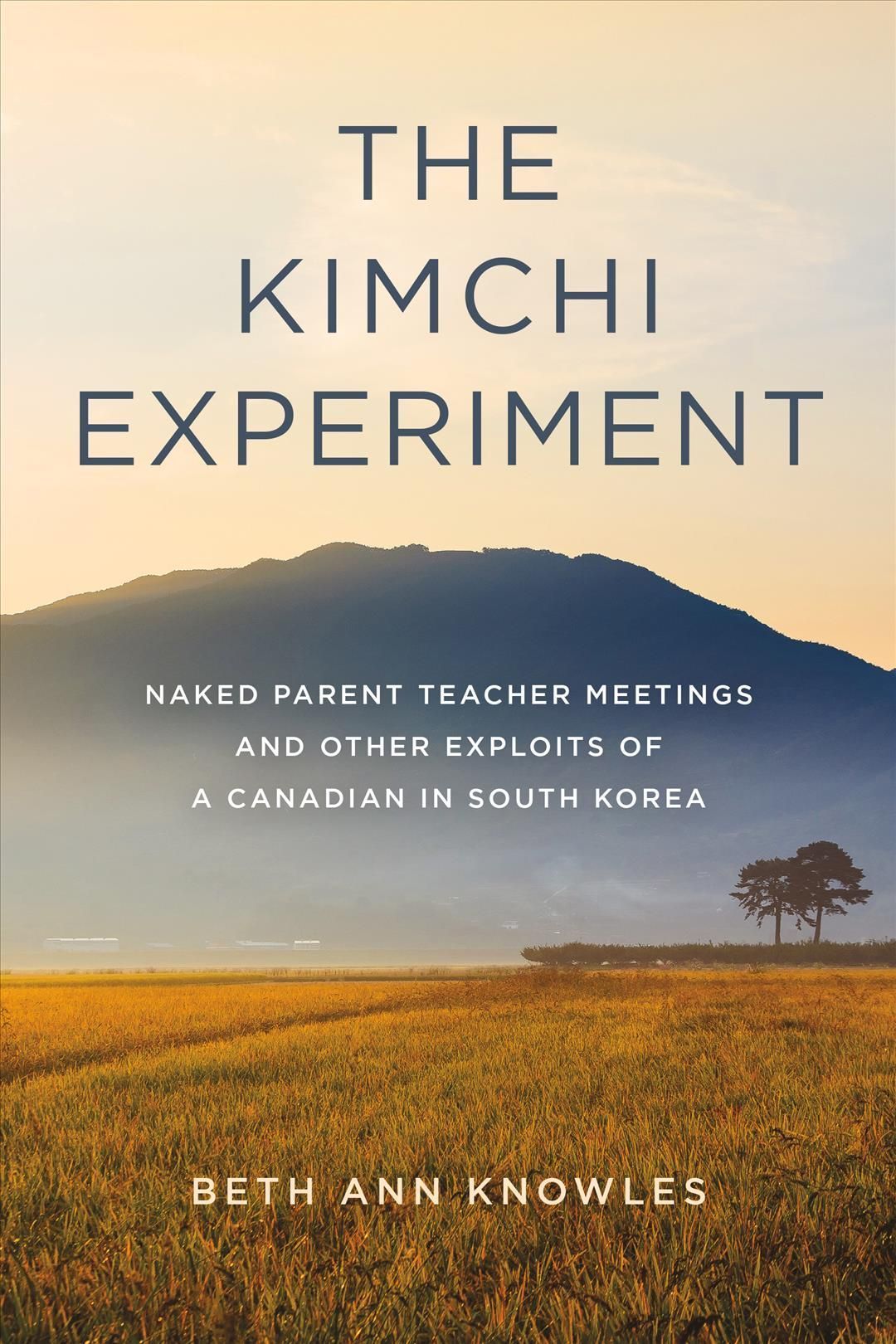 The Kimchi Experiment By Beth Ann Knowles 9781989725795 (Paperback)