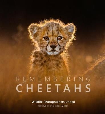 Remembering Cheetahs By Margot Raggett (producer) 9781999643331