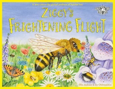Ziggy's Frightening Flight By Ellie Jackson 9781999748593 (Paperback)