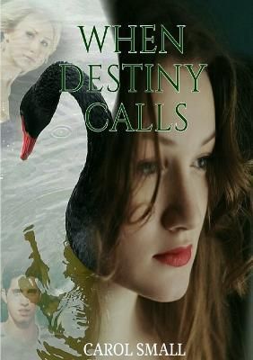 When Destiny Calls By Small 9781999793951 (Paperback)