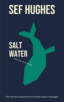 Salt Water By Sef Hughes 9781999860011 (Paperback)