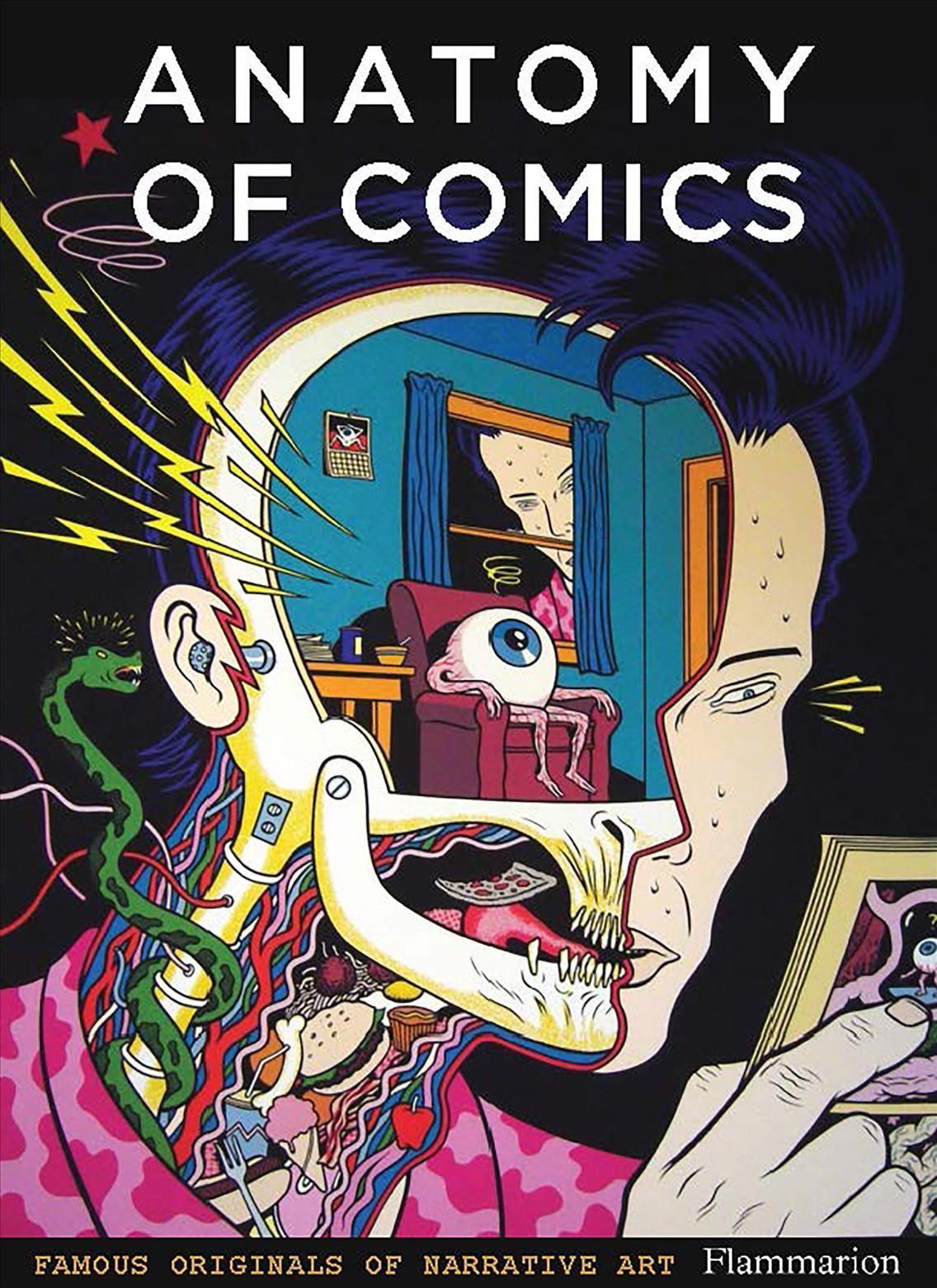 Anatomy of Comics By Damien MacDonald 9782080281876 (Paperback)
