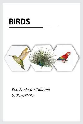 Birds By Phillips 9782213610481 (Paperback)